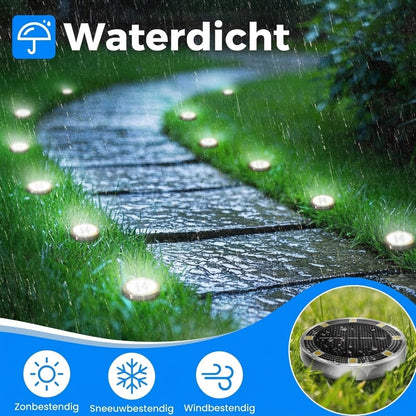 Weerbestendige Solar Grondlampen met Sterrenlichteffect