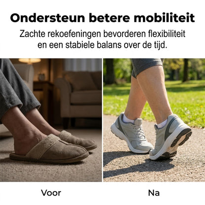 28 daags tai chi oefenboek