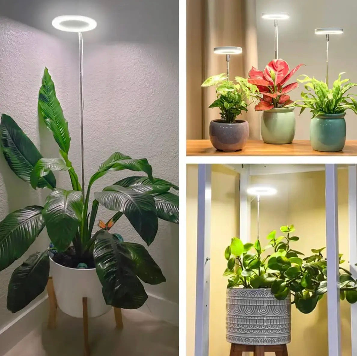 Full Spectrum Plantverlichting