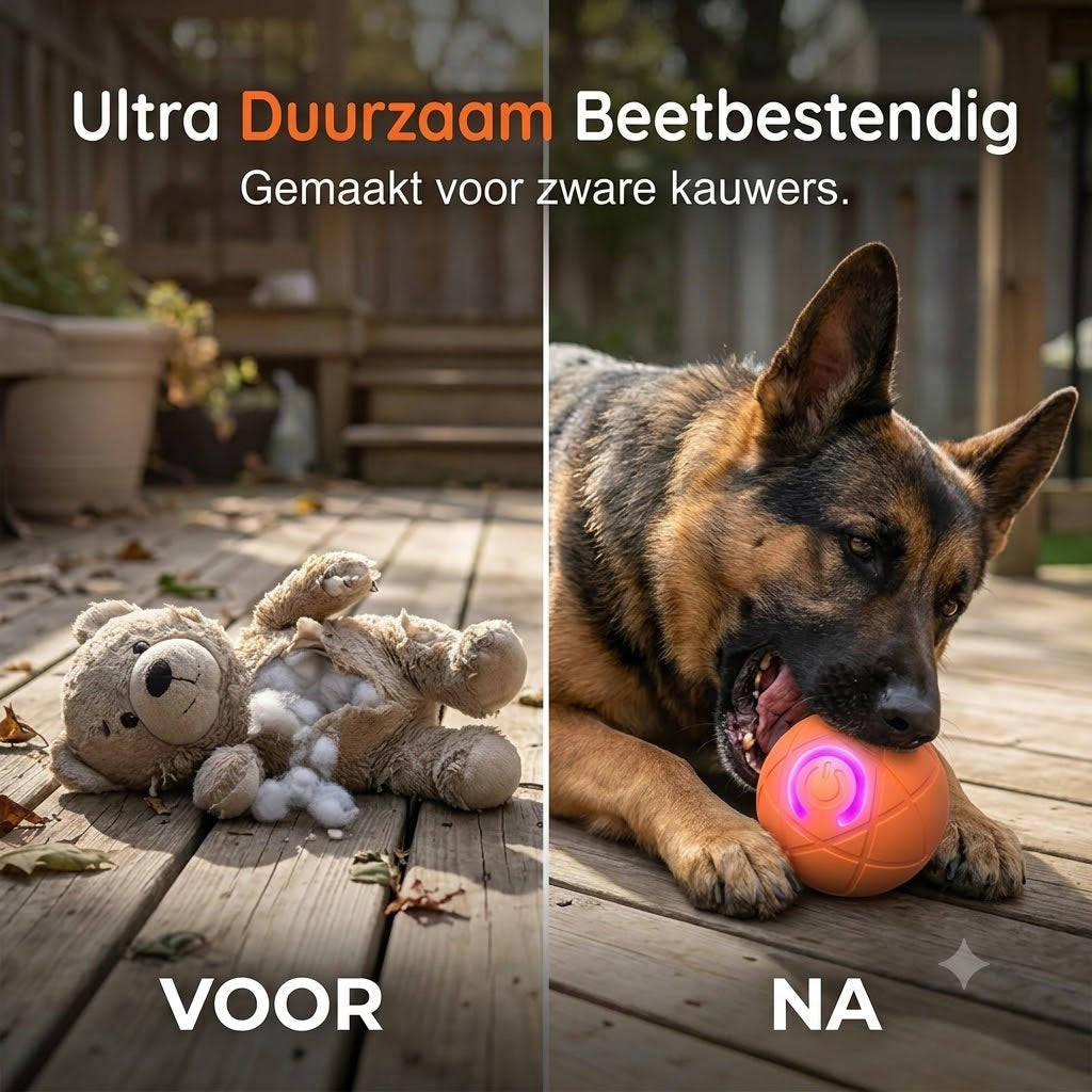 Automatische Stuiterbal voor Huisdieren