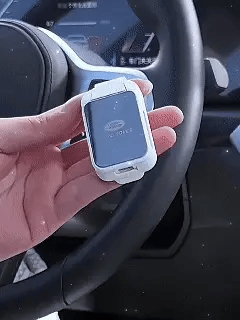 Brilclip voor Auto